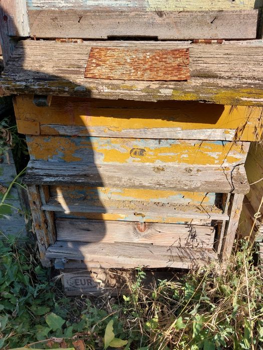 Пчелни кошери с магазини