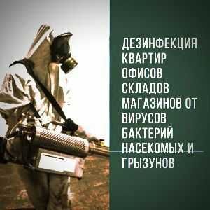 Дезинфекция Dezinfeksiya от всех видов насекомых (Гос.лицензия)