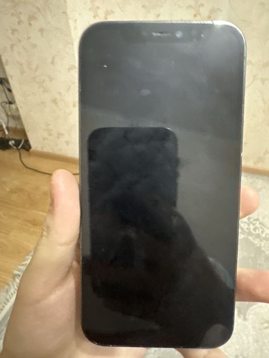 Айфон 12 про с чехлом