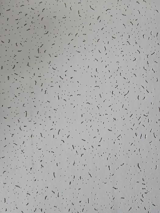 Vand 40 mp tavan casetat cu structură