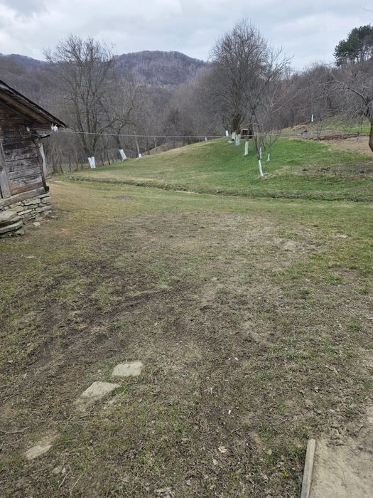 Case plus teren 3750m2