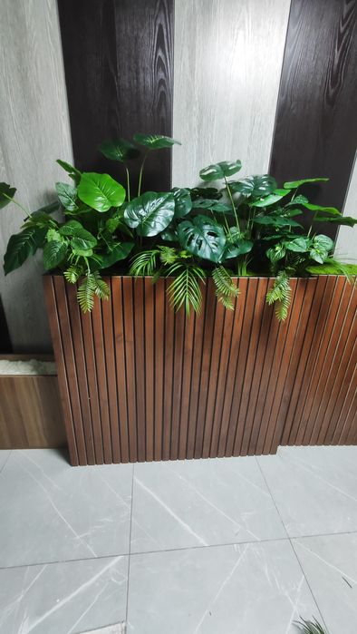 кашпо суний гуллар декор хизмати