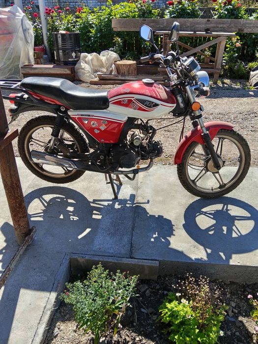 Альфа рх прадам?