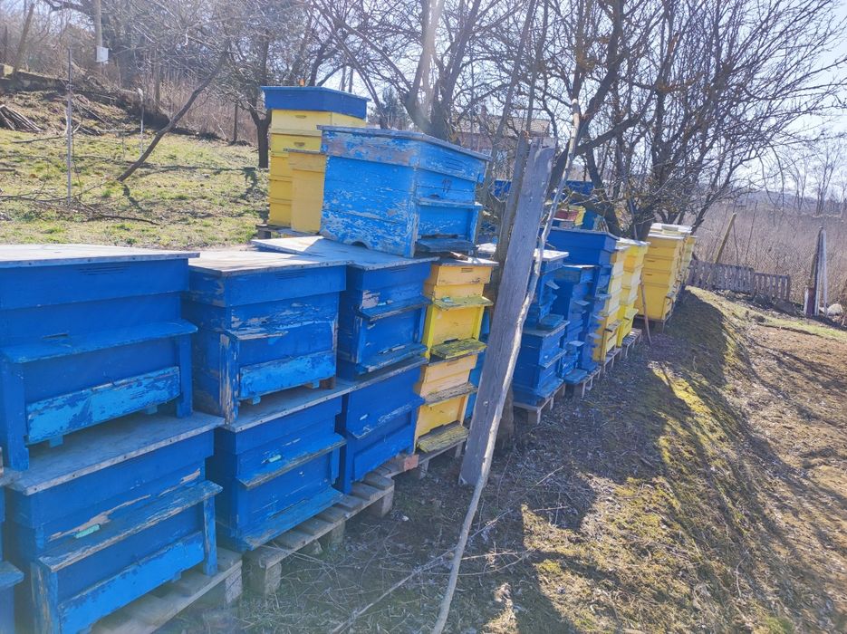 Пчелни кошери дадан блат 12рамкови