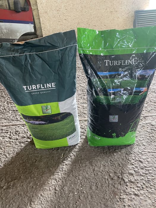 Газон, семена спортивного газона