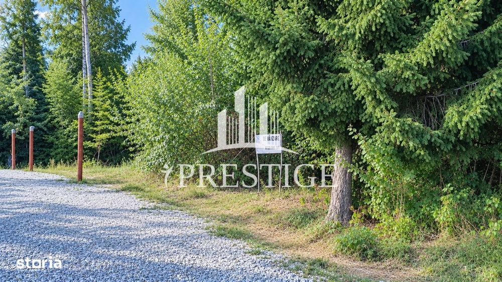Teren Intravilan De Vânzare | Valea Avrigului | 744 Mp