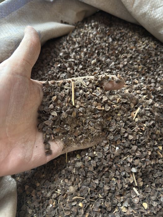 Отход гречки в мешках