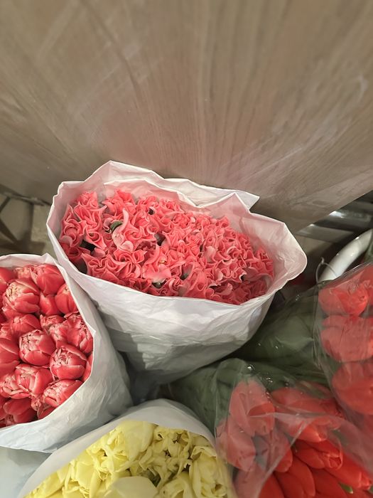 Продам тюльпаны крупные по вкусной цене