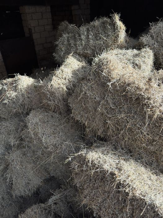 Тук сатылады жусан