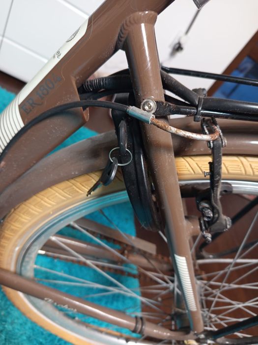 Bicicleta aduse din germania