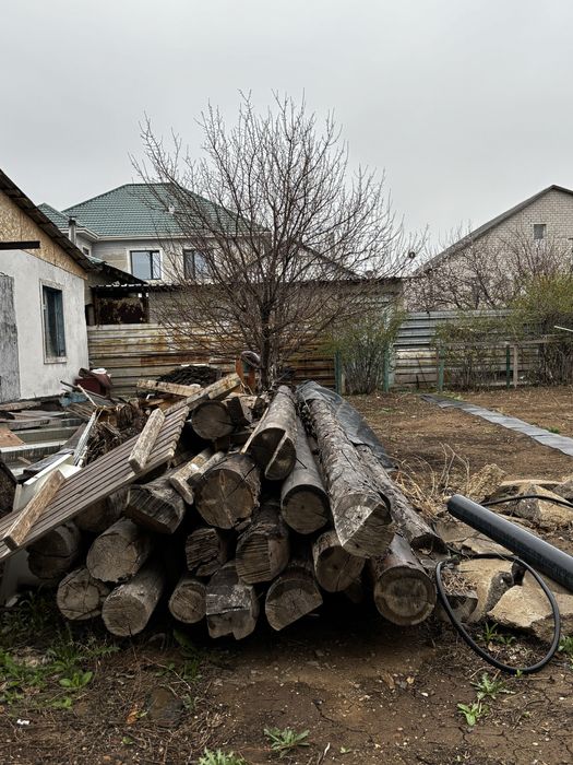 Бревно, деревья.