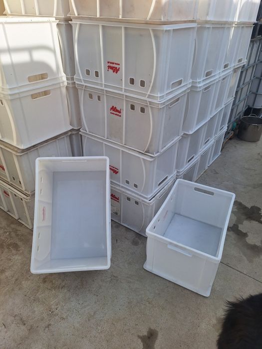 Lazi alimentare  60/40/40