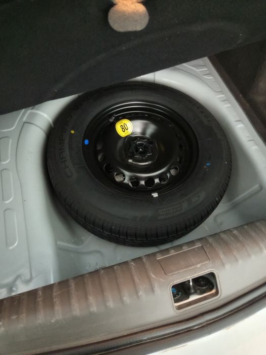 янгидай турибти,