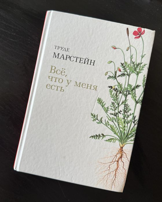 Роман Все что у меня есть