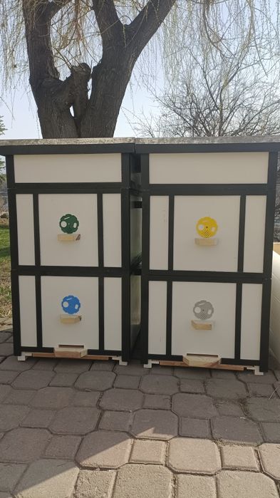 Продам мини пасику  пчёлы с ульями Карника  Бакфаст