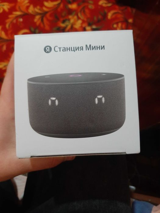 Yandex stansiya Mini 3