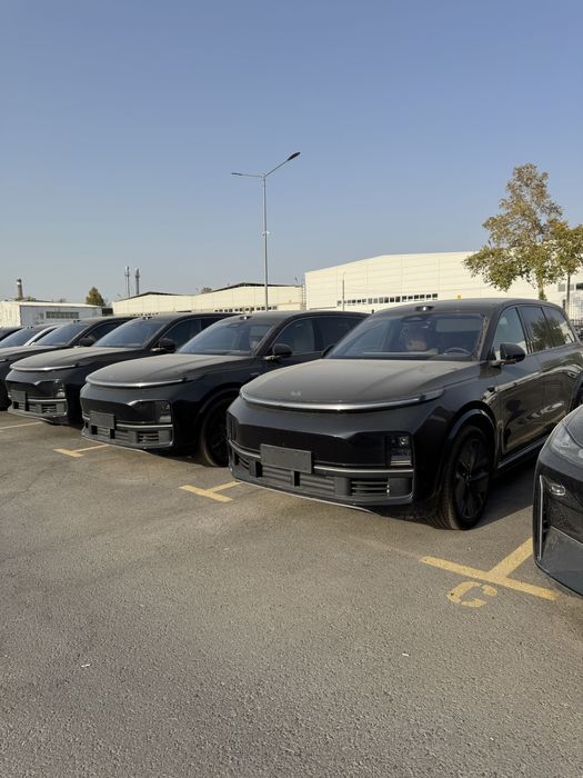 Li9 Ultra restayling