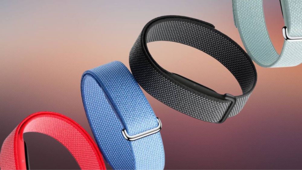 Google Fitbit Air