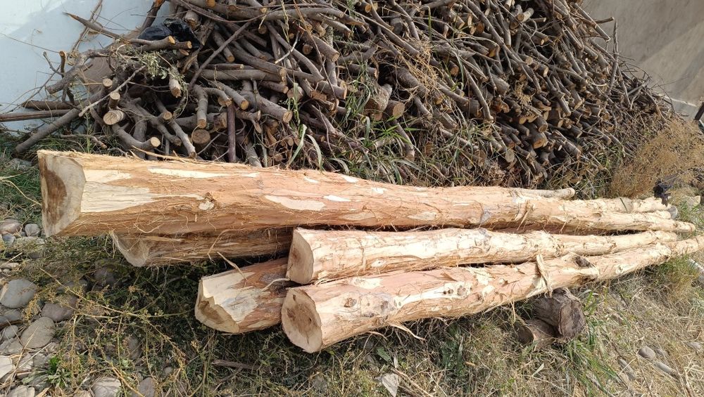 Mirza terak sotiladi 100 dona narxi kelishilagan narxda