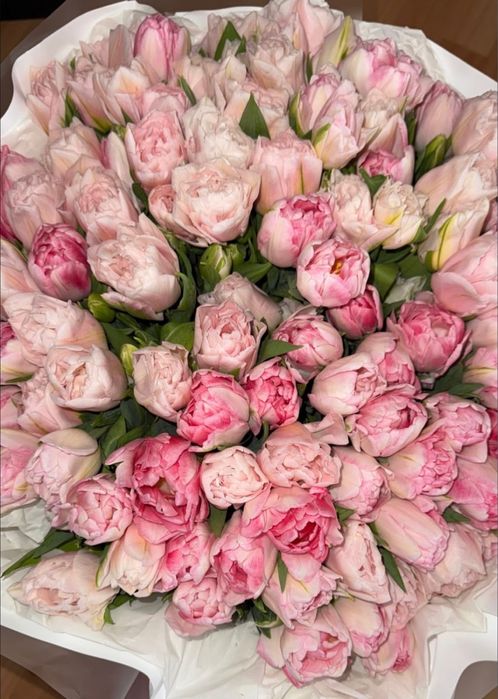 Продаю красивейшие тюльпаны