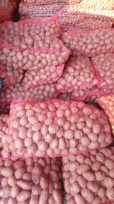 Cartofi pentru animale