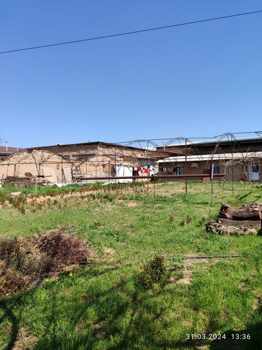 Ер сотилади 6 сотох