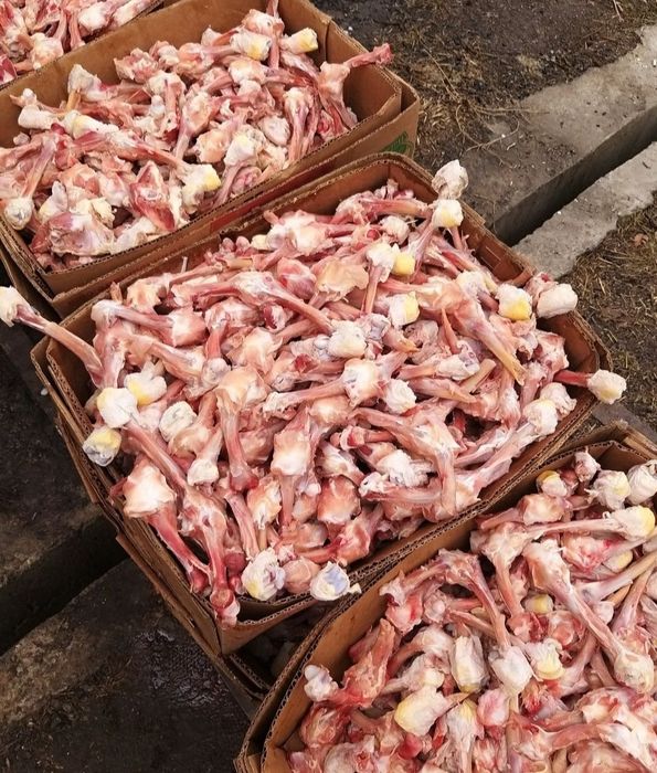 Корма для собак и кошек