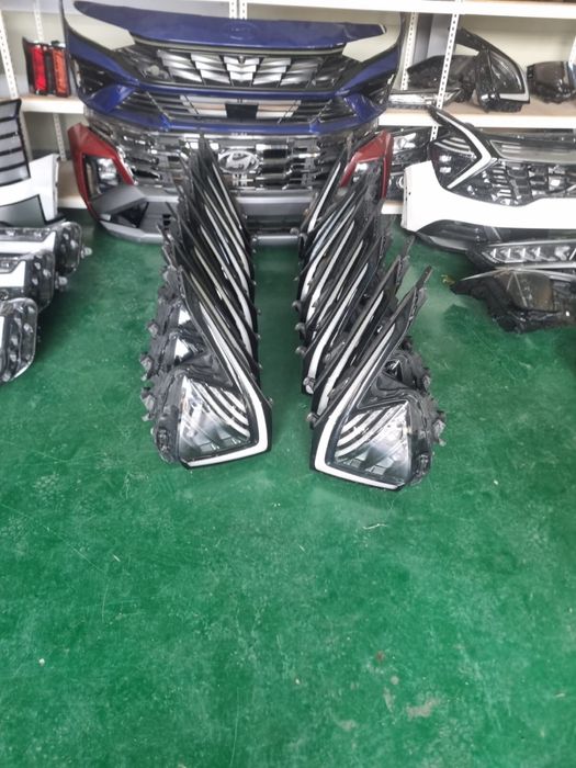 Palisade (Полисад) передняя фара