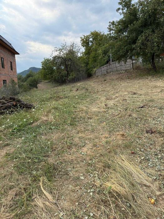 Teren de vanzare Sat Vladuceni Comuna Pausesti Maglasi 5000mp - Vedere 4