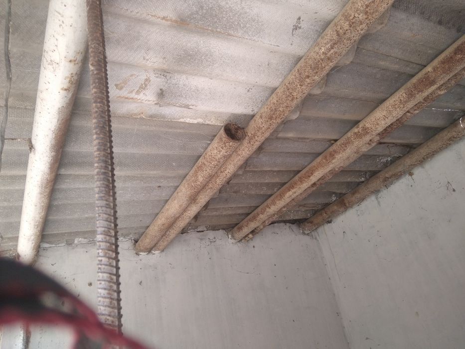 Труба сотаман. Россиянки.,  89 лик