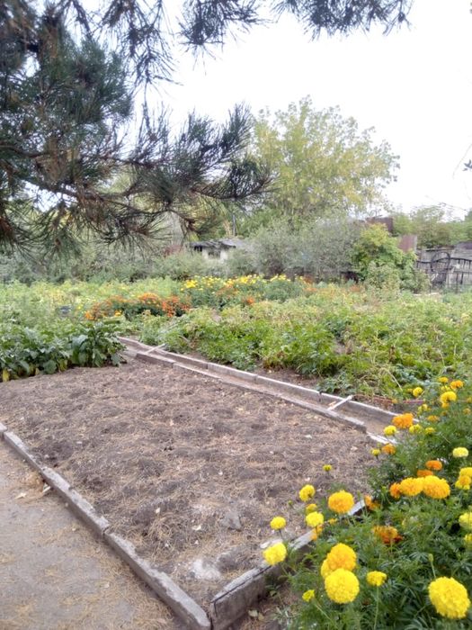 Продам дачу Возле пгт Актас