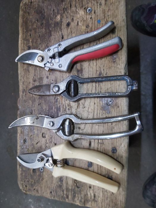 Foarfeci vie pomi  flori de colecție