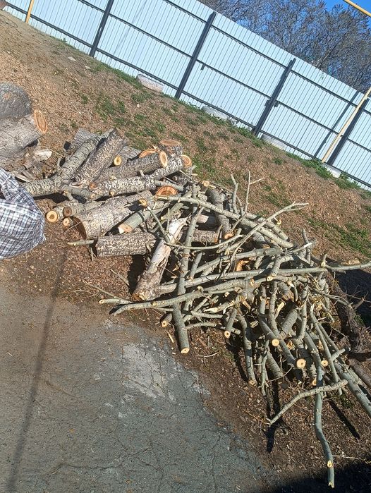 Дрова бесплатноо