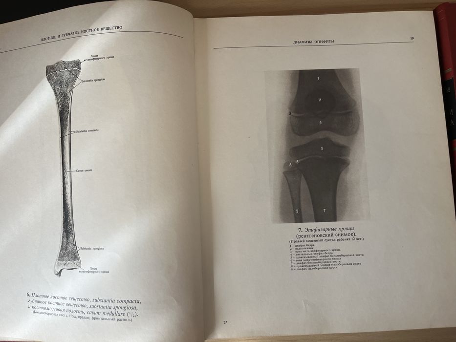 Атлас. Анатомии человека. Том 1 и 2 - Р. Д. Синельников