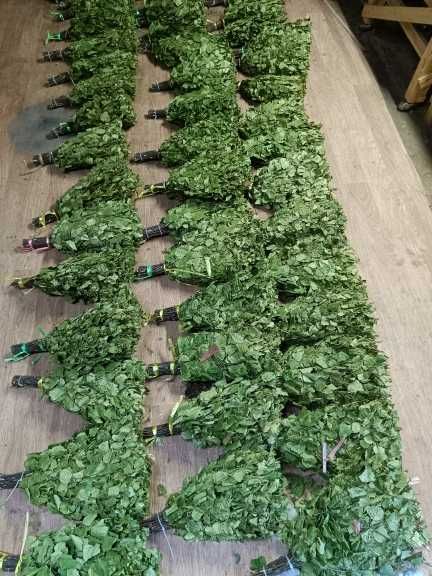 Веники березовые для бани