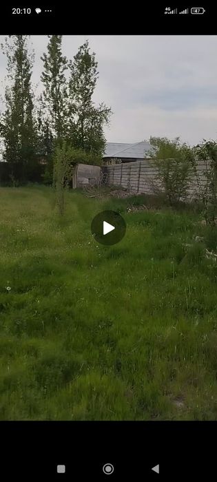 9.35 sotik o'rta churchiq uchxoz kirf atrofi oralgan