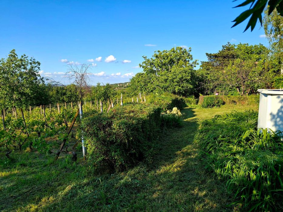 Продава се Къща в с. Остров, Област Враца - 120 кв.м за 309 €/кв.м - Снимка #7