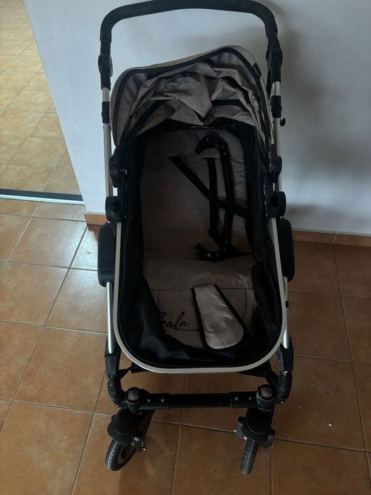 Căruț bebeluși...