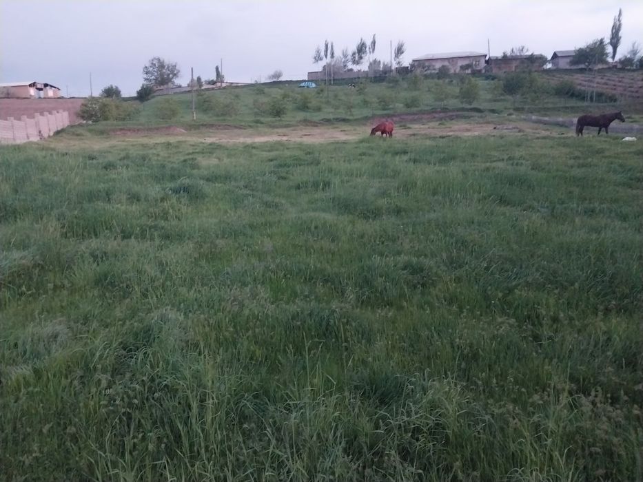 Красногорскда yer sotiladi