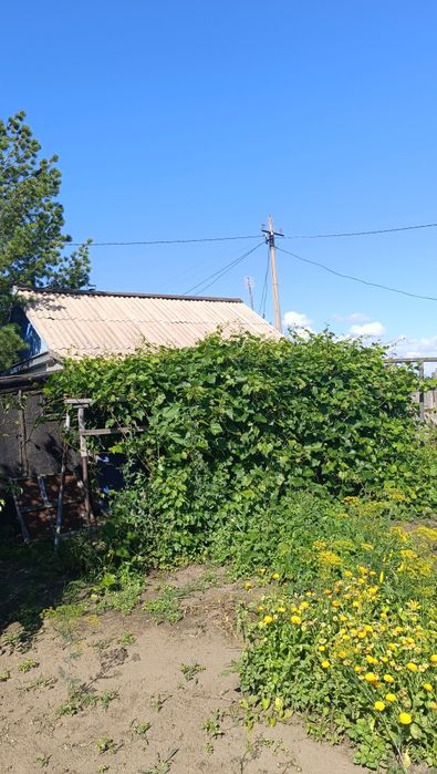 Продам Дачу Со Геолог