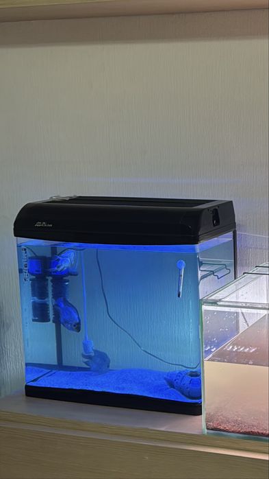 Аквариум 80 литр