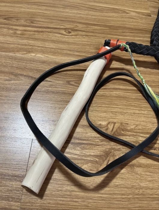 Bici traditional ,harapnic