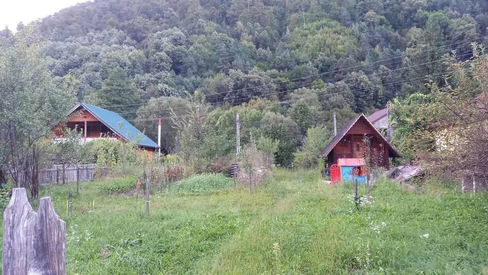 Teren cu cabanuta  Păscoaia Brezoi Valcea