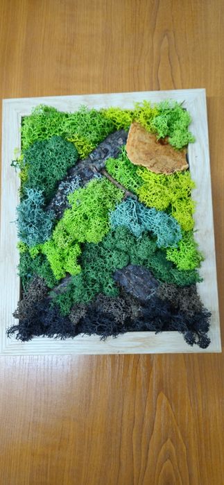 Картини със скандинавски мъх