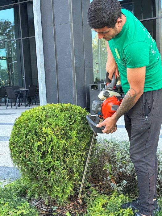 Озеленяване и поддръжка