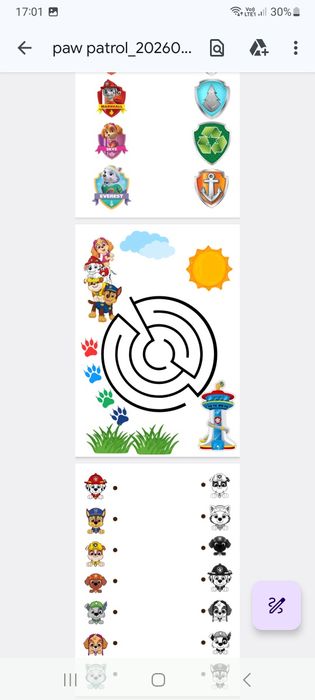 Caiet plastificat Paw Patrol