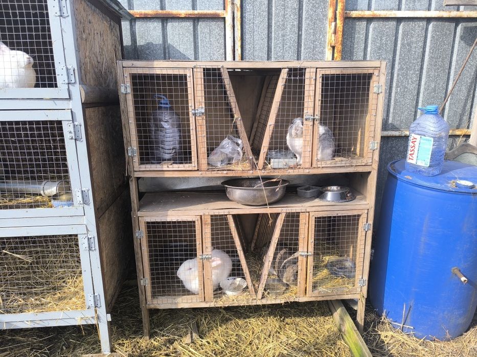 Продам мини ферму с кроликами!