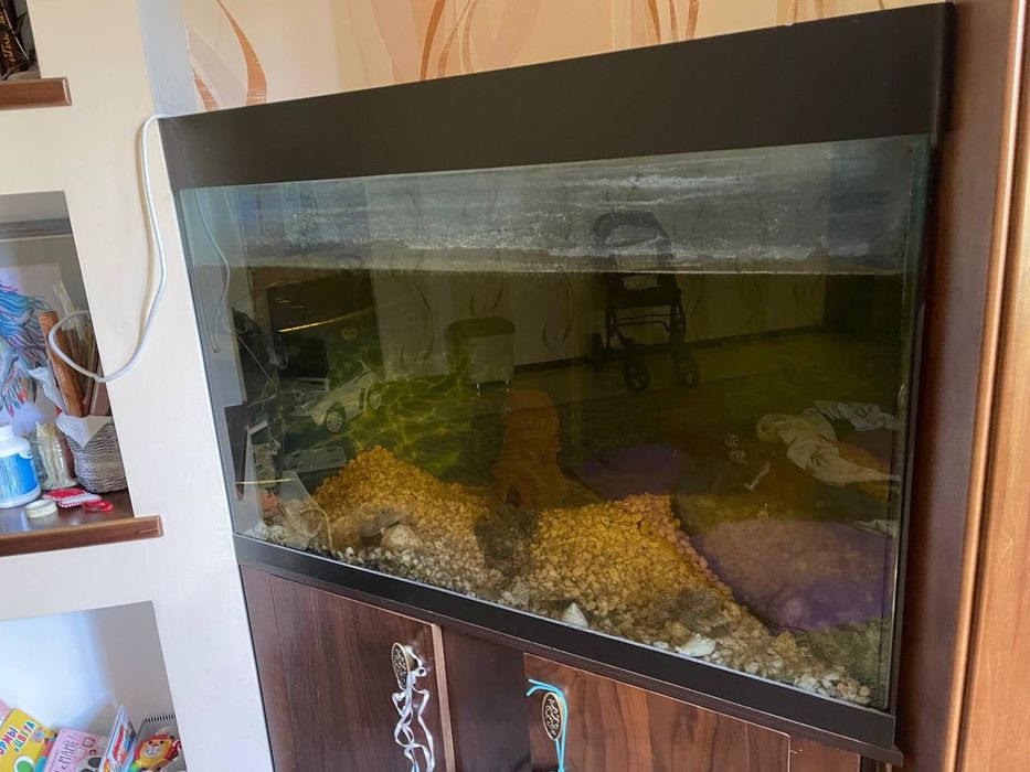 Продам аквариум 300 литров