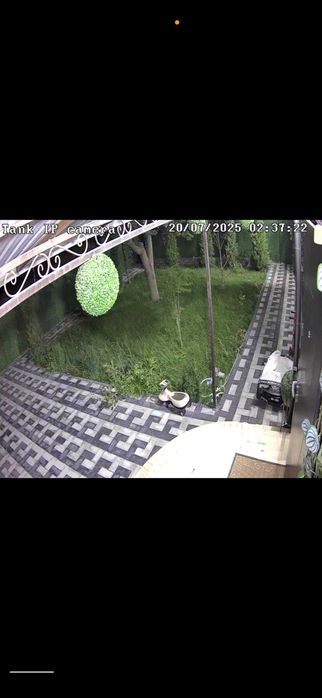 Янги Жар Арик 7 Корзинка