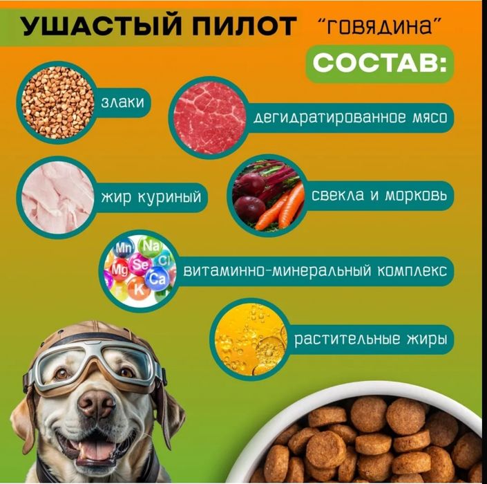 Корм для собак Новинка Хит цена